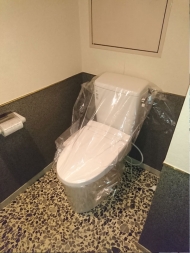 第二富士ビルトイレ取替工事