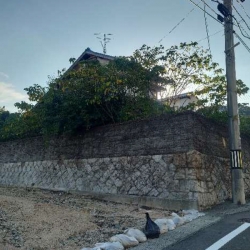 長府新松原町物件